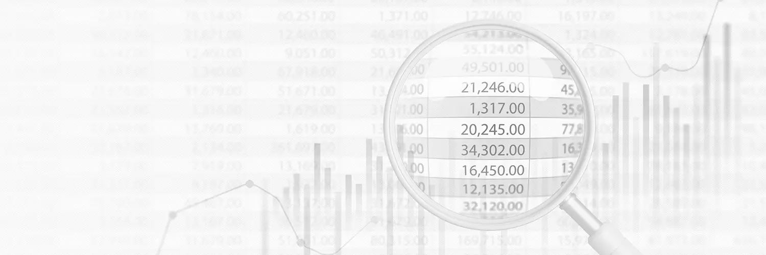 Statutory Audit — financial statement assurance